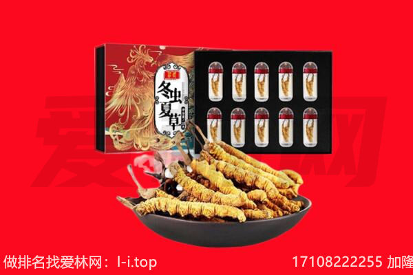 通道县回收虫草.jpg